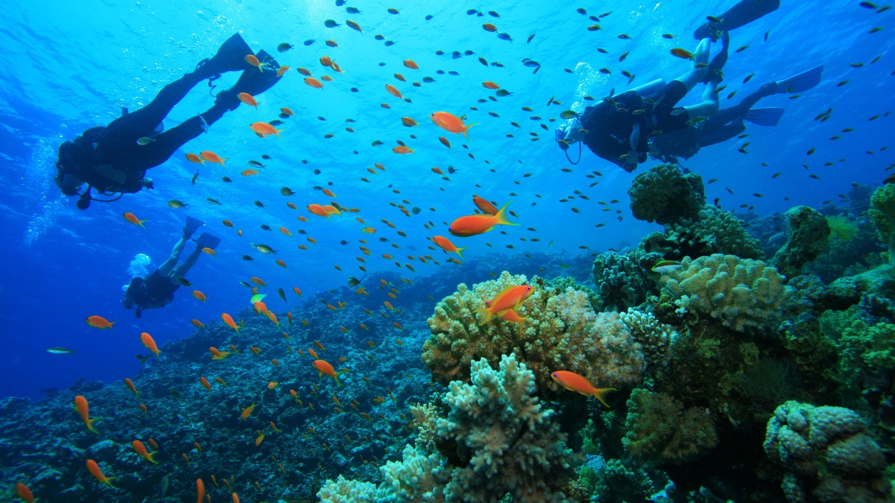 Photo of Others in Qamea Island