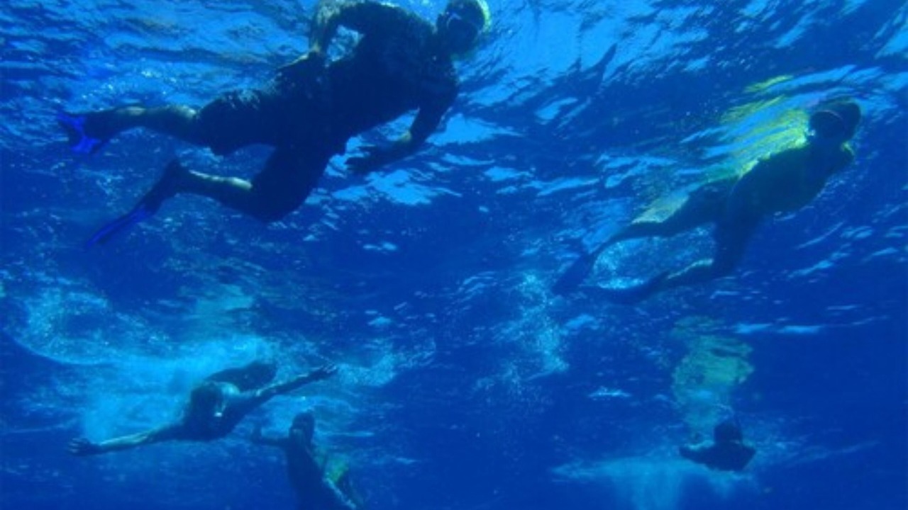 Photo of Others in Qamea Island