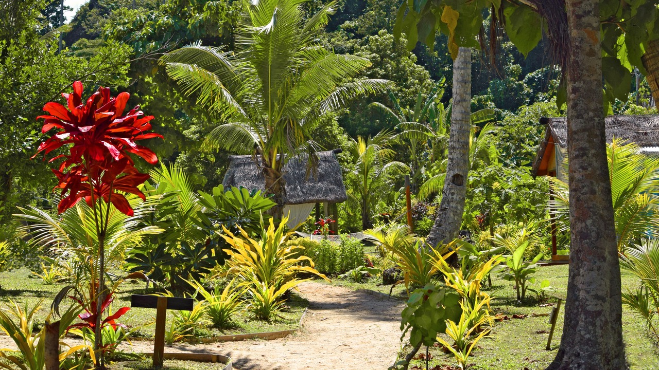 Photo of Outdoor in Qamea Island