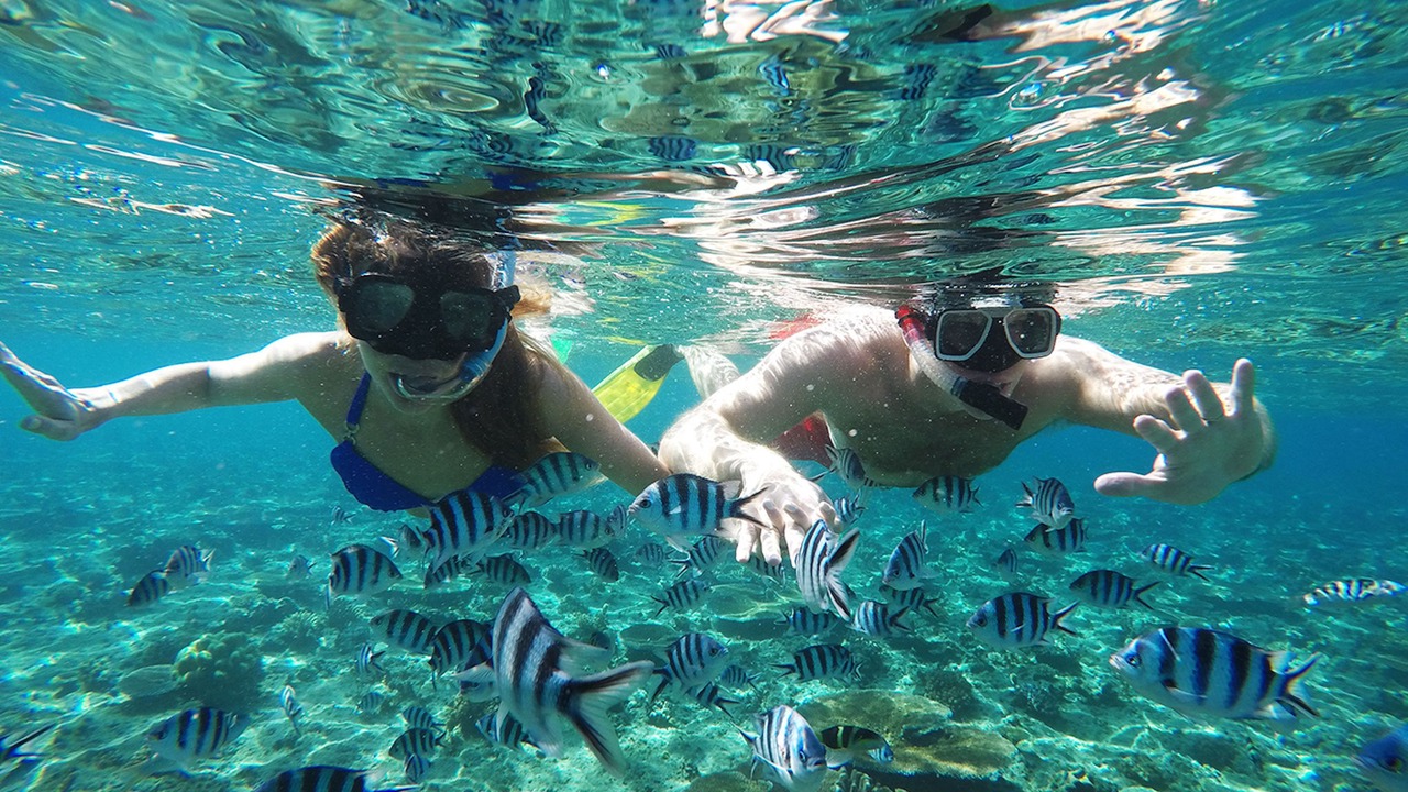 Photo of Others in Malolo Island