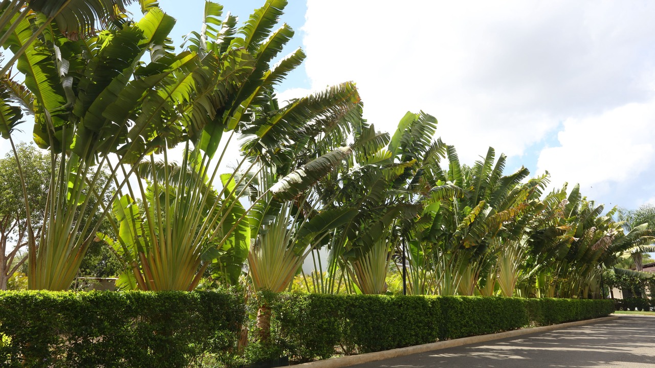 Photo of Outdoor in Guayacanes