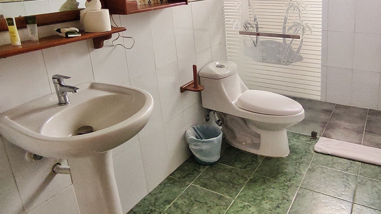 Photo of Bathroom in Ensanche Isabelita