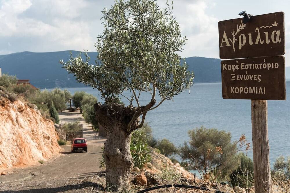 Photo of Outdoor in Platees