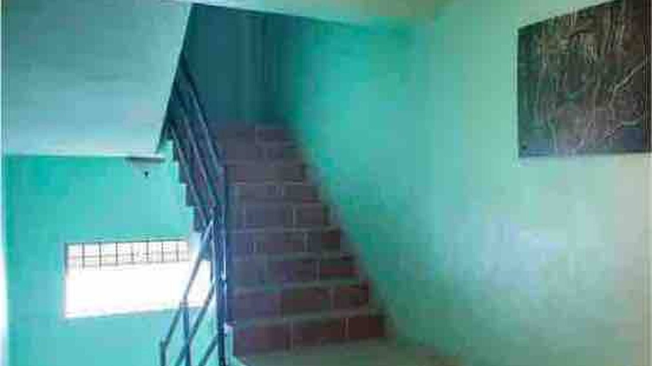 Photo of Others in Los Rios