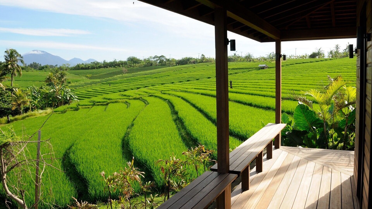 Photo of Outdoor in Selemadeg