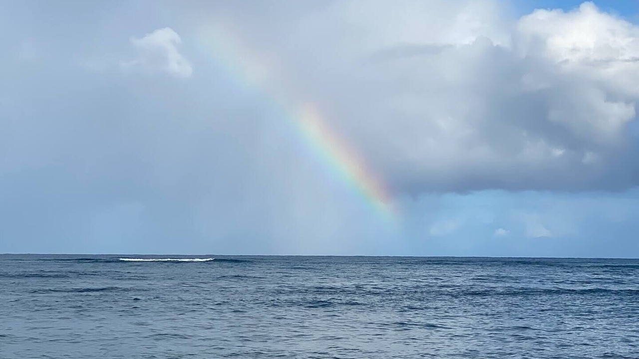 Photo of Others in Rio San Juan