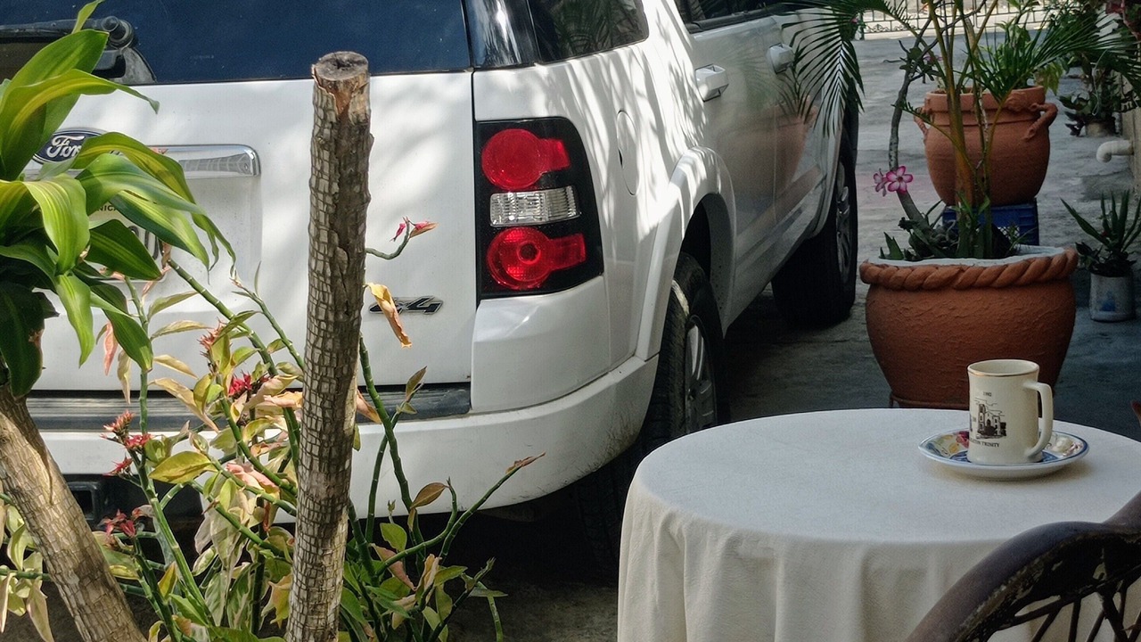 Photo of Outdoor in Boca Chica