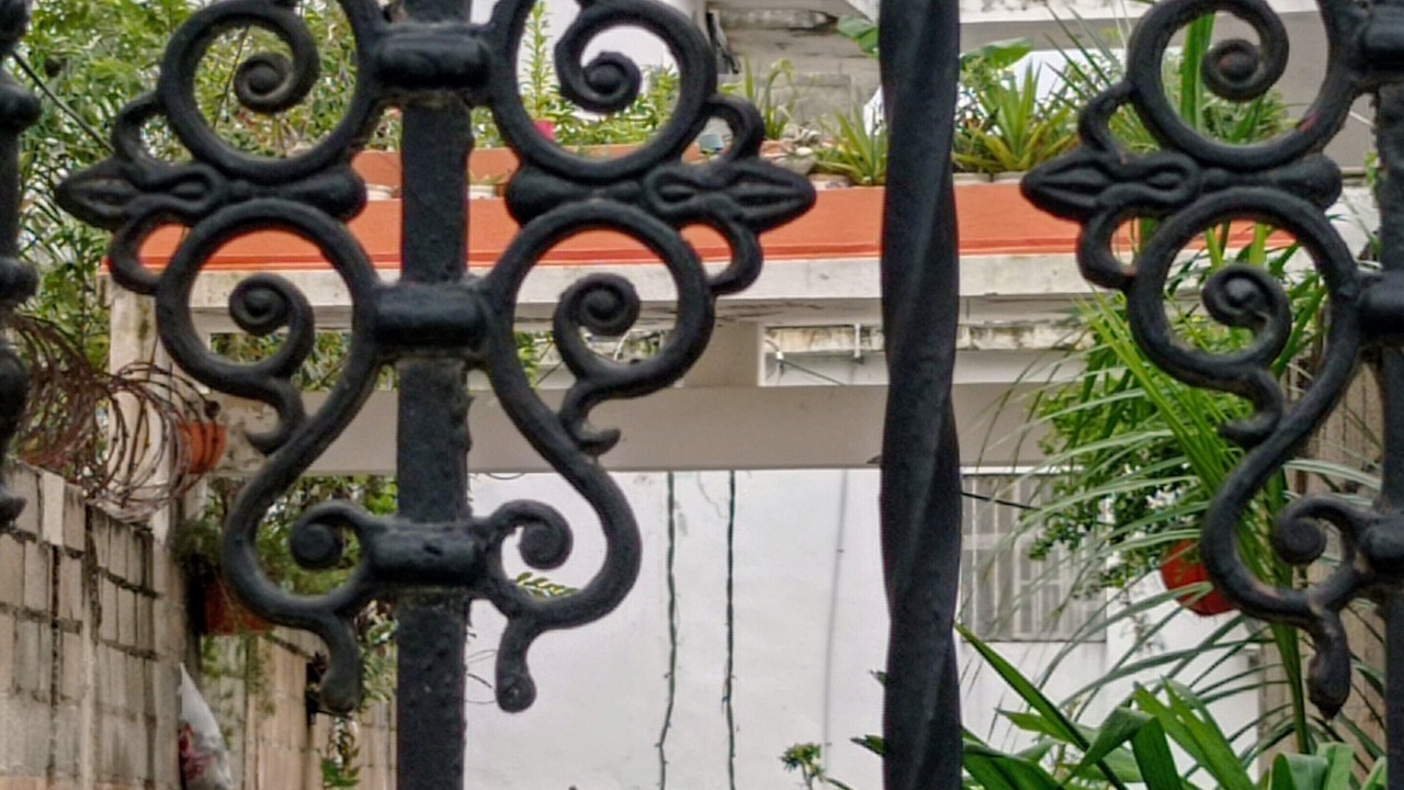 Photo of Outdoor in Boca Chica