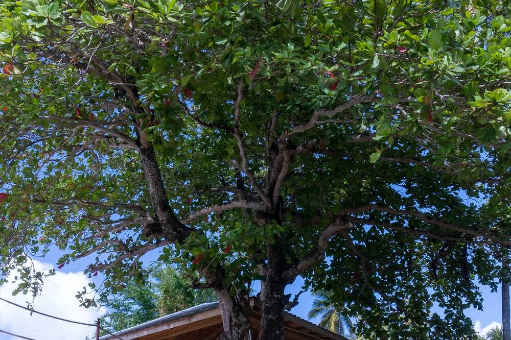 Photo of Outdoor in Barrio New York