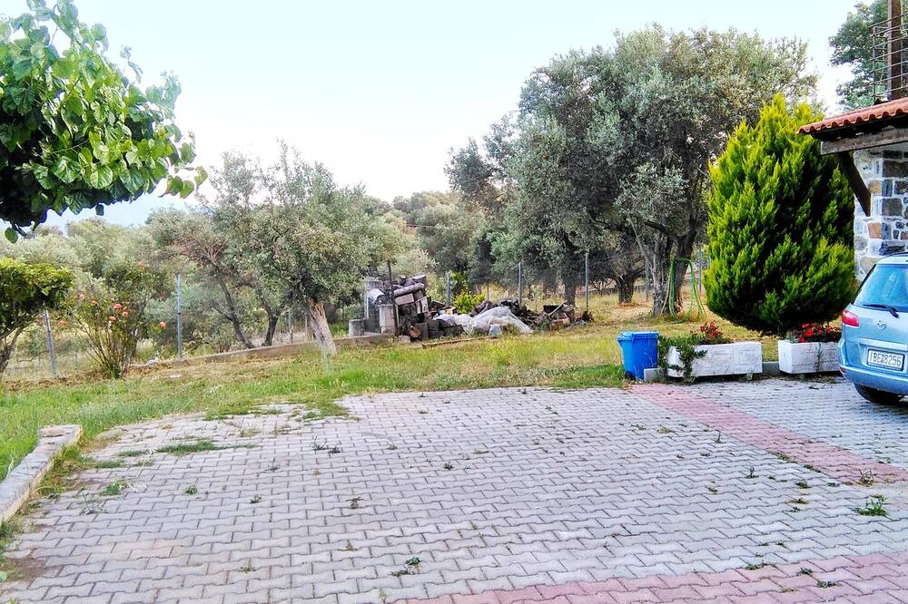 Photo of Outdoor in Paradise Beach