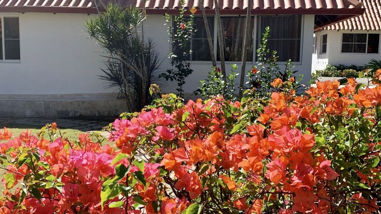 Photo of Outdoor in Caribbean Islands