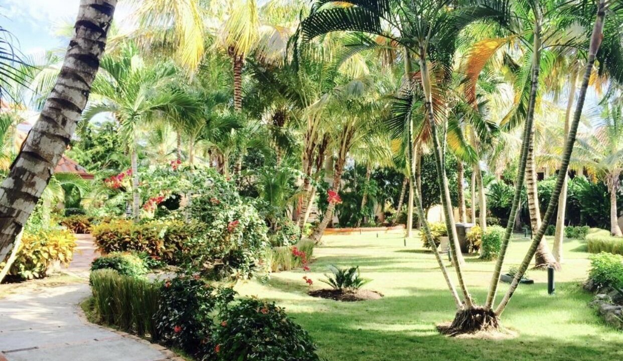 Photo of Outdoor in Caribbean Islands