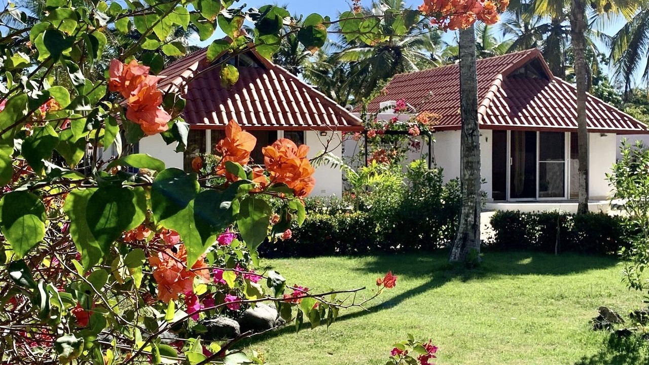 Photo of Outdoor in Boca Chica