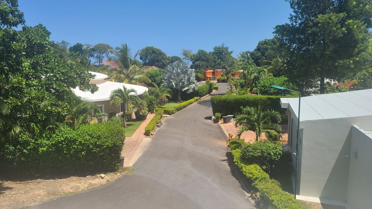 Photo of Outdoor in La Mulata