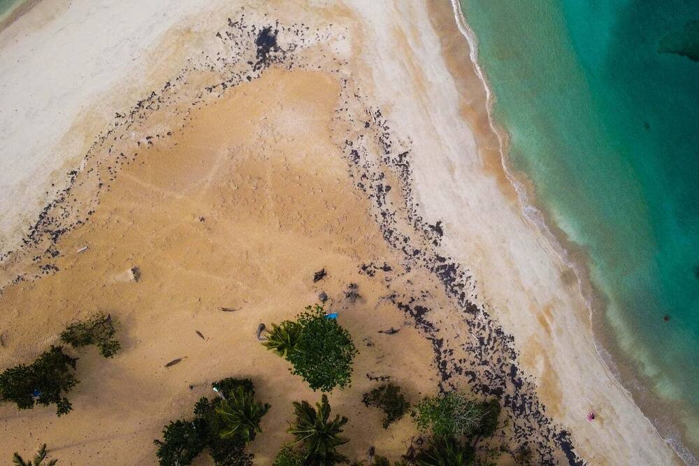 Photo of Others in Puerto Bahia