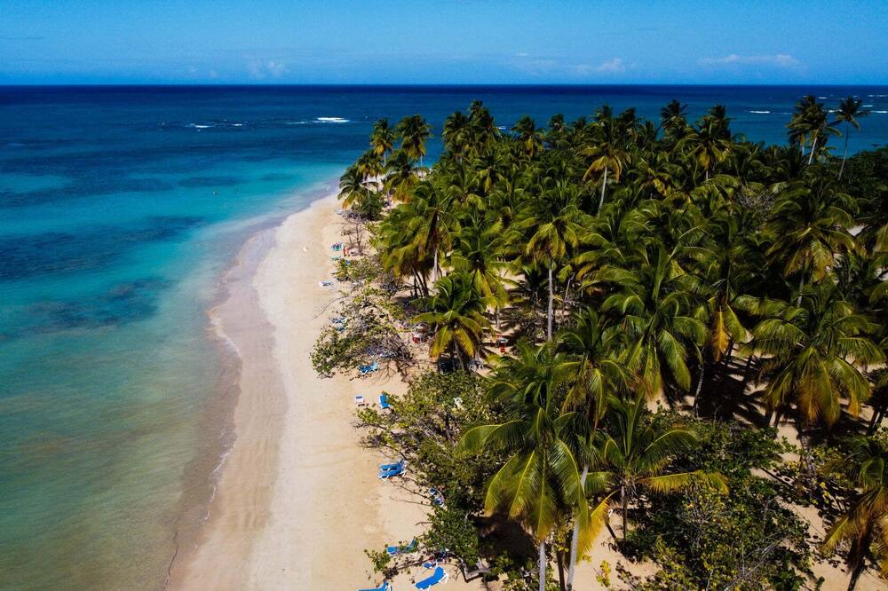 Photo of Others in Puerto Bahia