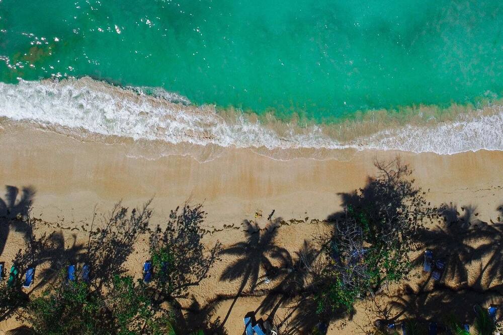 Photo of Others in Puerto Bahia