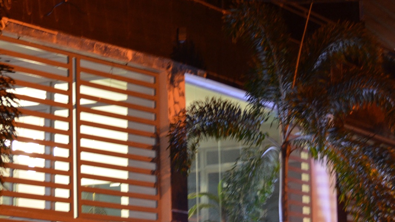 Photo of Outdoor in Los Rios