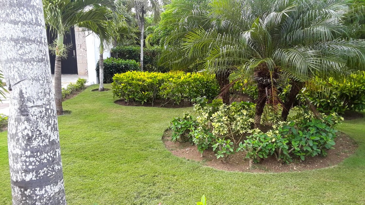 Photo of Outdoor in El Soco