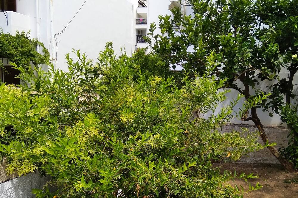 Photo of Outdoor in Tinos Town