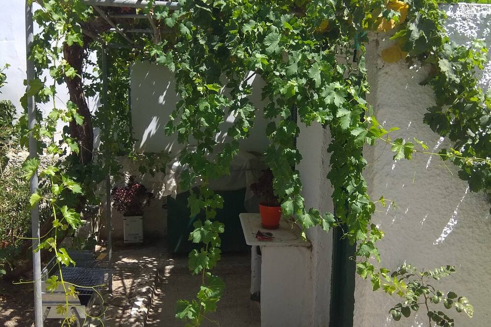 Photo of Outdoor in Tinos Town