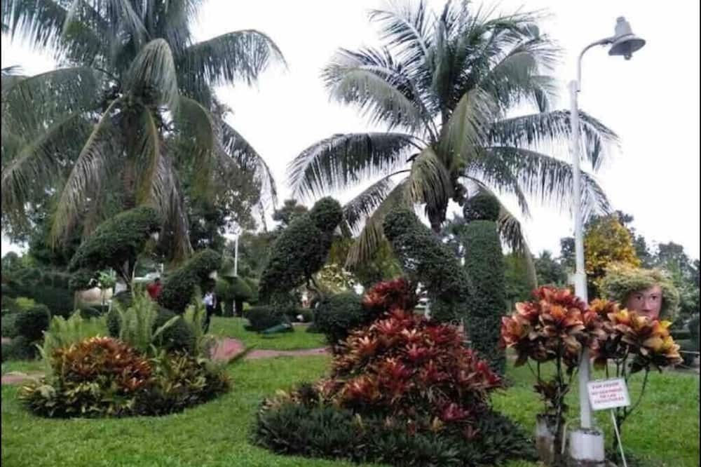 Photo of Outdoor in Reparto Yuna