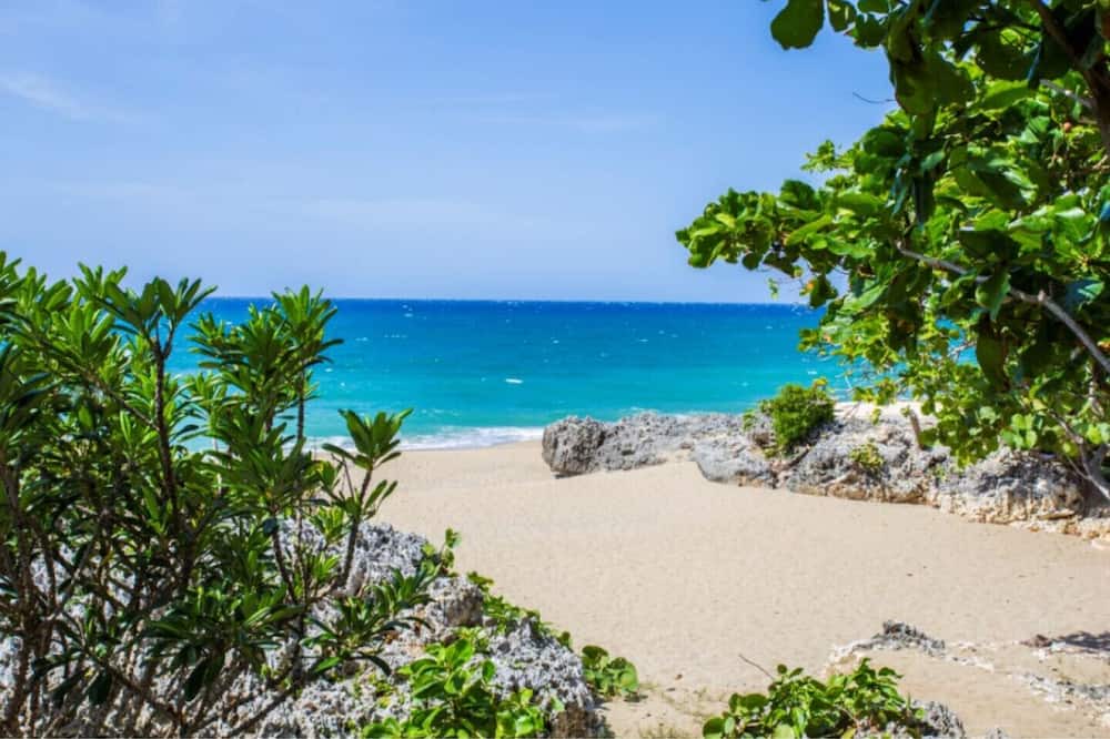 Photo of Others in Playa Chiquita