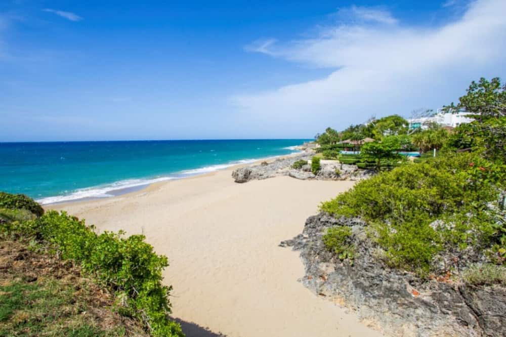 Photo of Others in Playa Chiquita