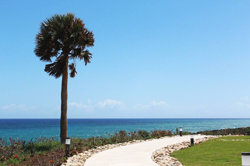 Photo of Outdoor in Playa Chiquita