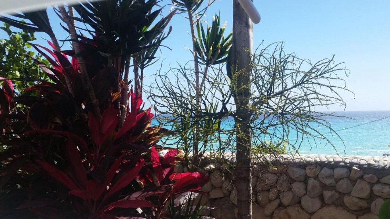 Photo of Others in Enriquillo