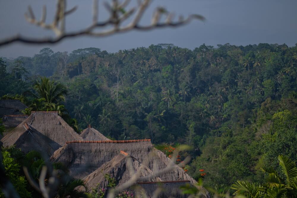 Photo of Others in Bongkasa Pertiwi