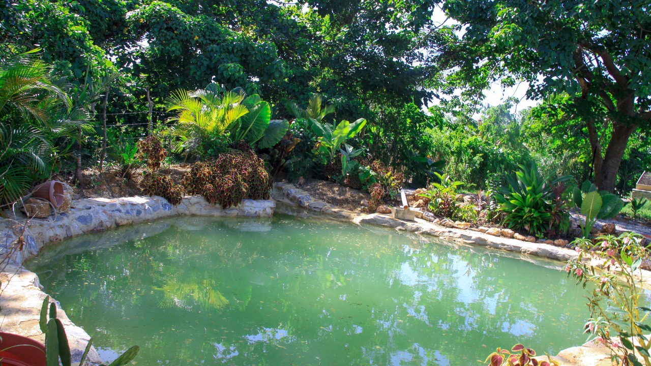 Photo of Outdoor in El Limon