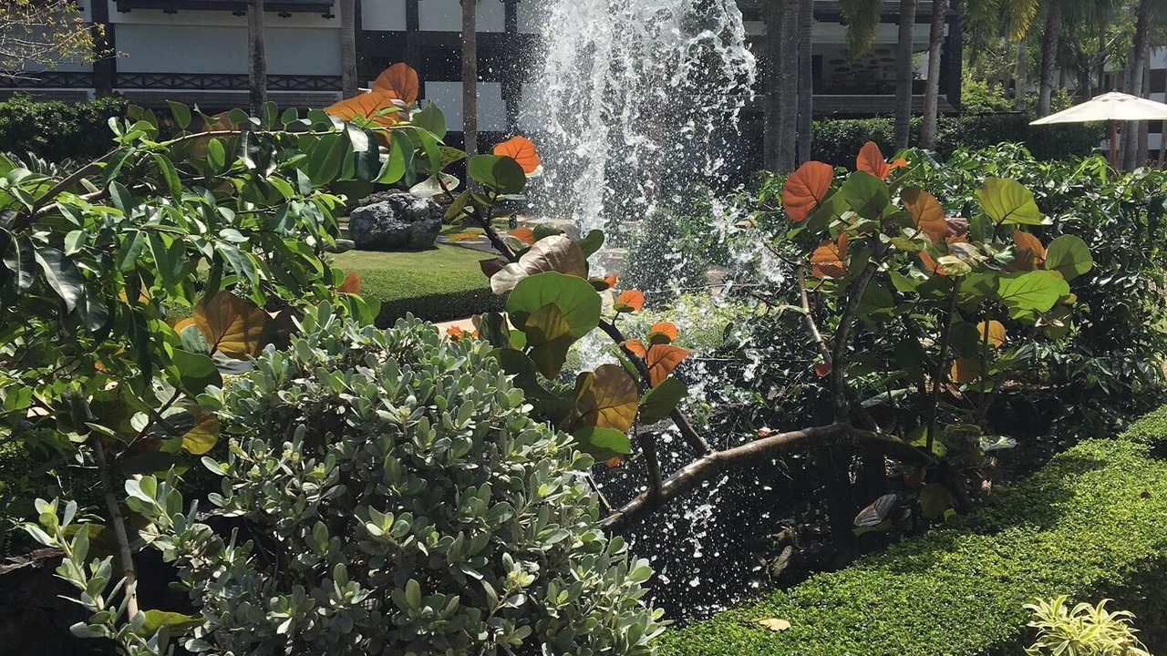 Photo of Outdoor in El Centro
