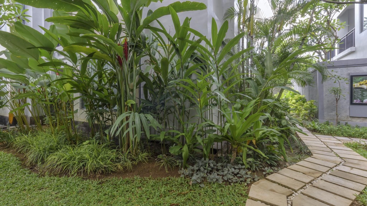 Photo of Outdoor in Umalas