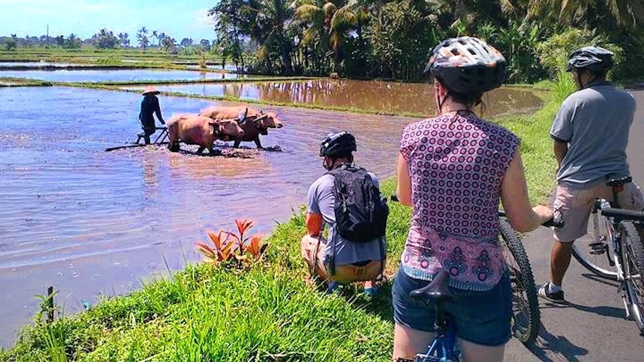 Photo of Outdoor in Pekutatan