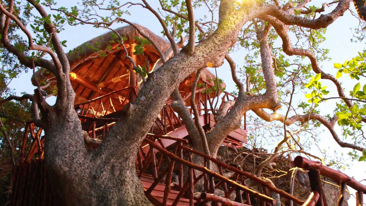 Photo of Others in Matamanoa Island