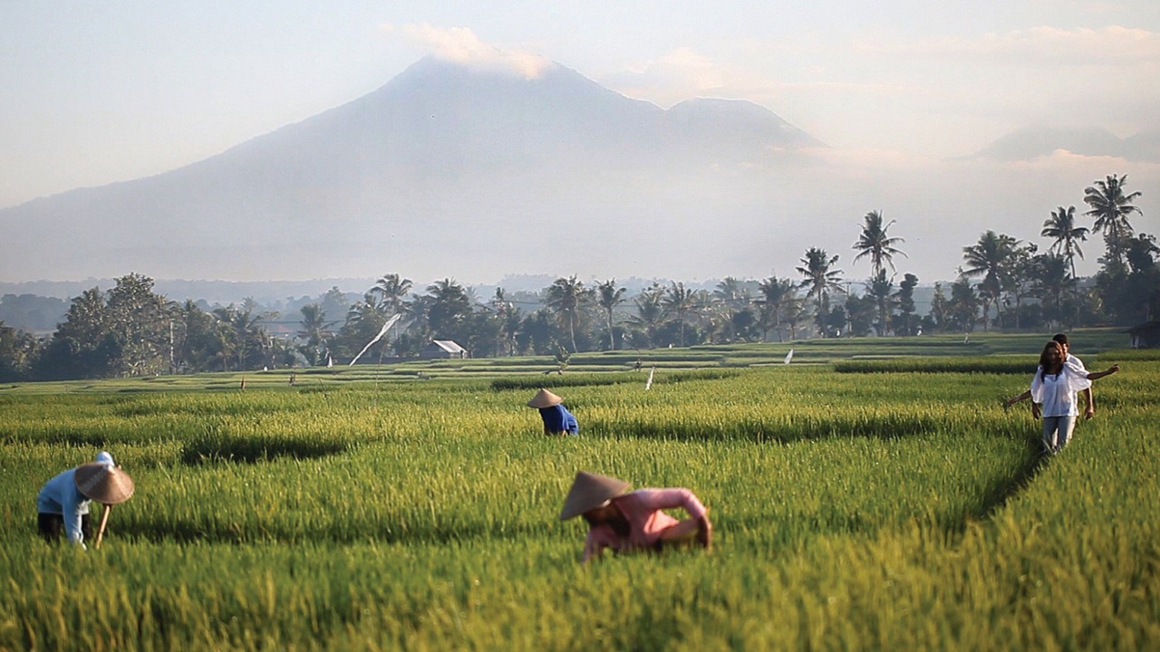 Photo of Others in Kelating