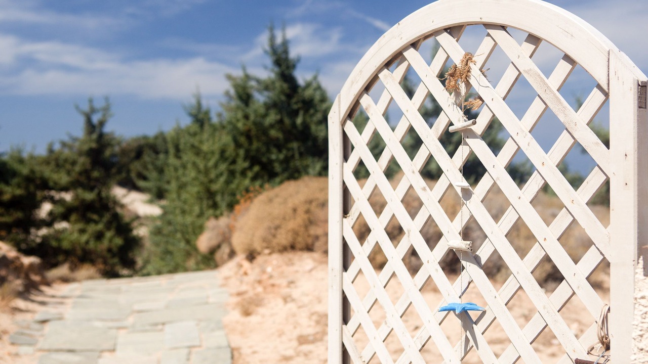 Photo of Outdoor in Naxos