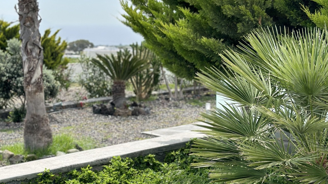 Photo of Outdoor in Messaria