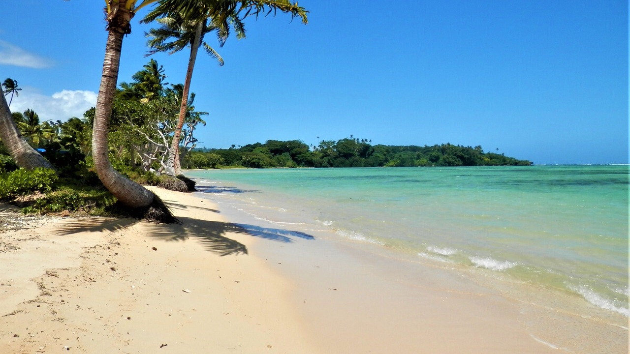 Photo of Others in Savusavu