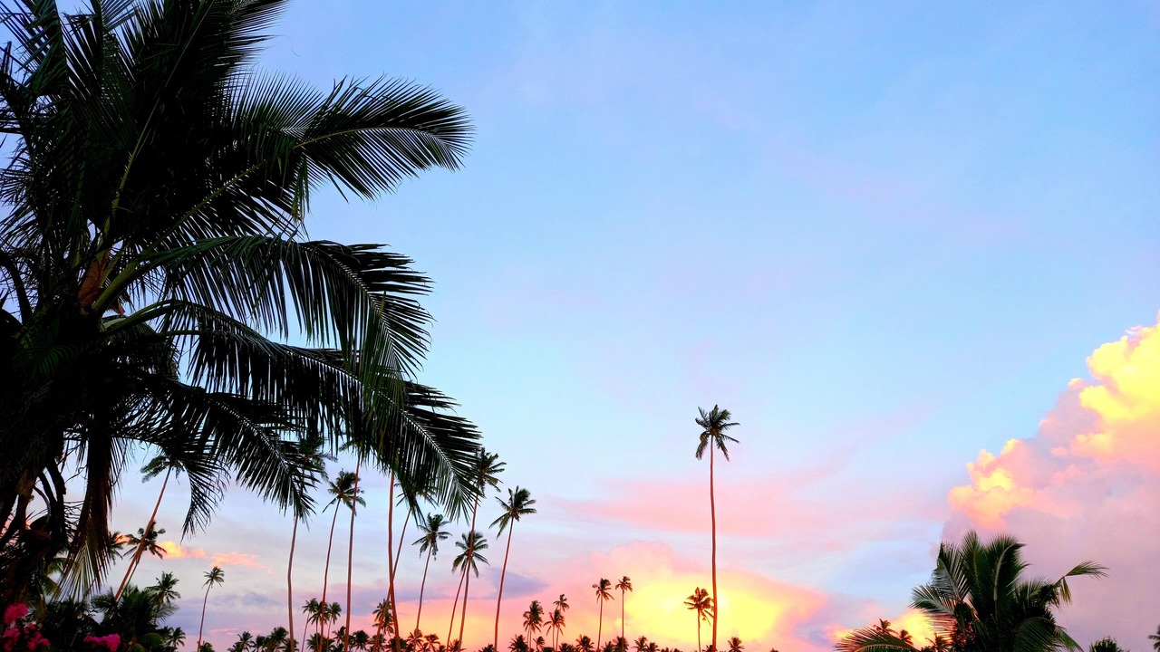 Photo of Outdoor in Savusavu