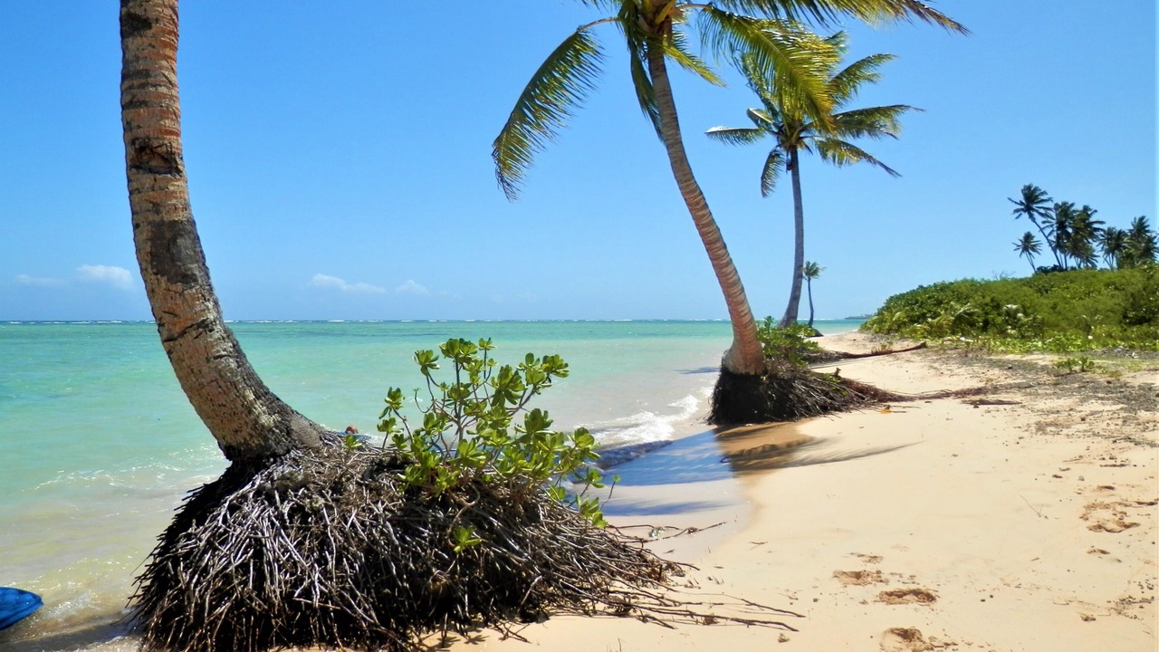 Photo of Others in Savusavu