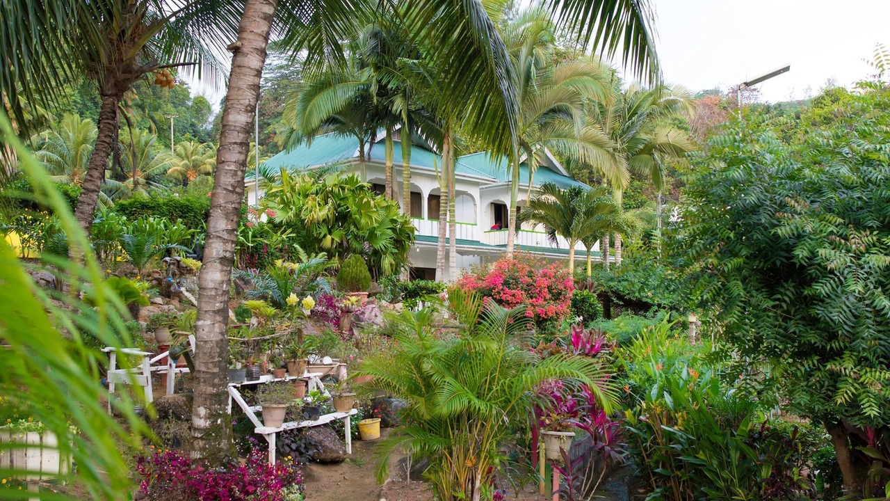 Photo of Outdoor in Anse La Mouche