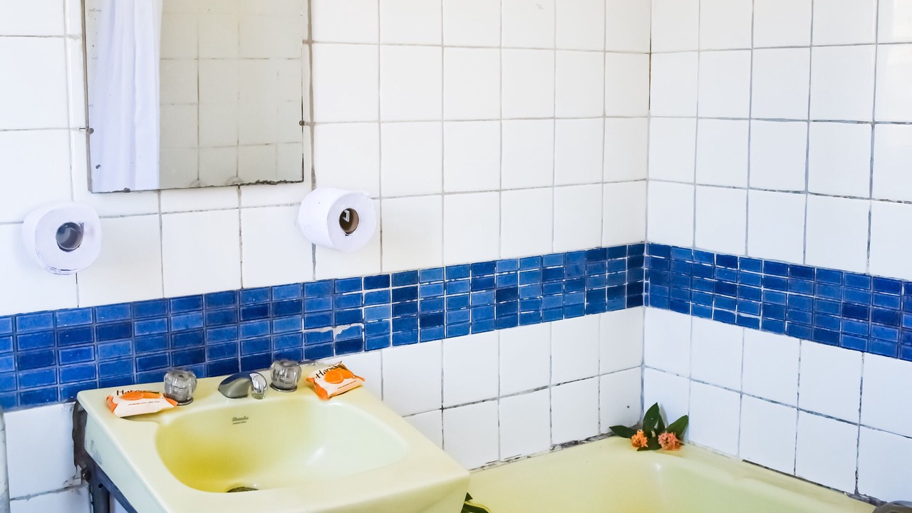 Photo of Bathroom in Lautoka