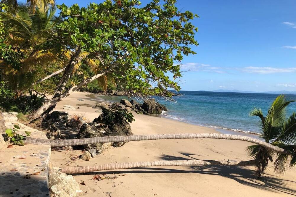 Photo of Others in Samana