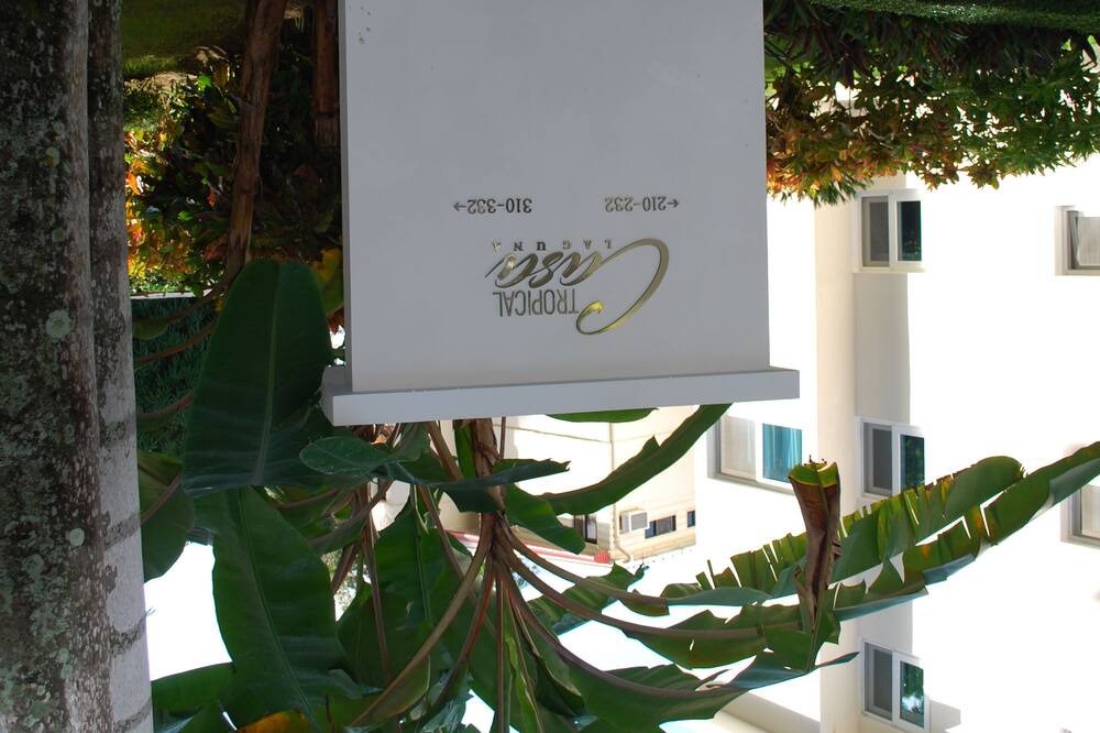 Photo of Outdoor in Cabarete