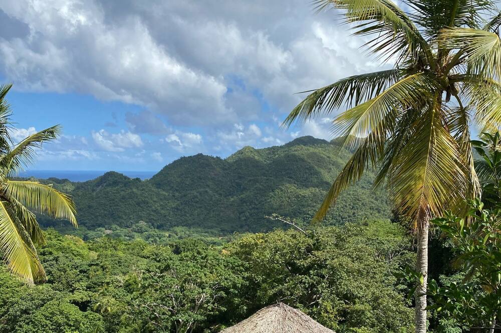Photo of Outdoor in El Limon