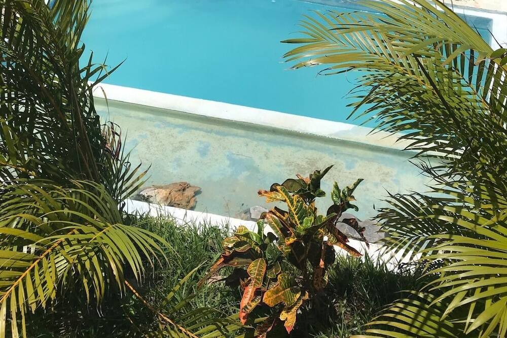 Photo of Outdoor in El Limon