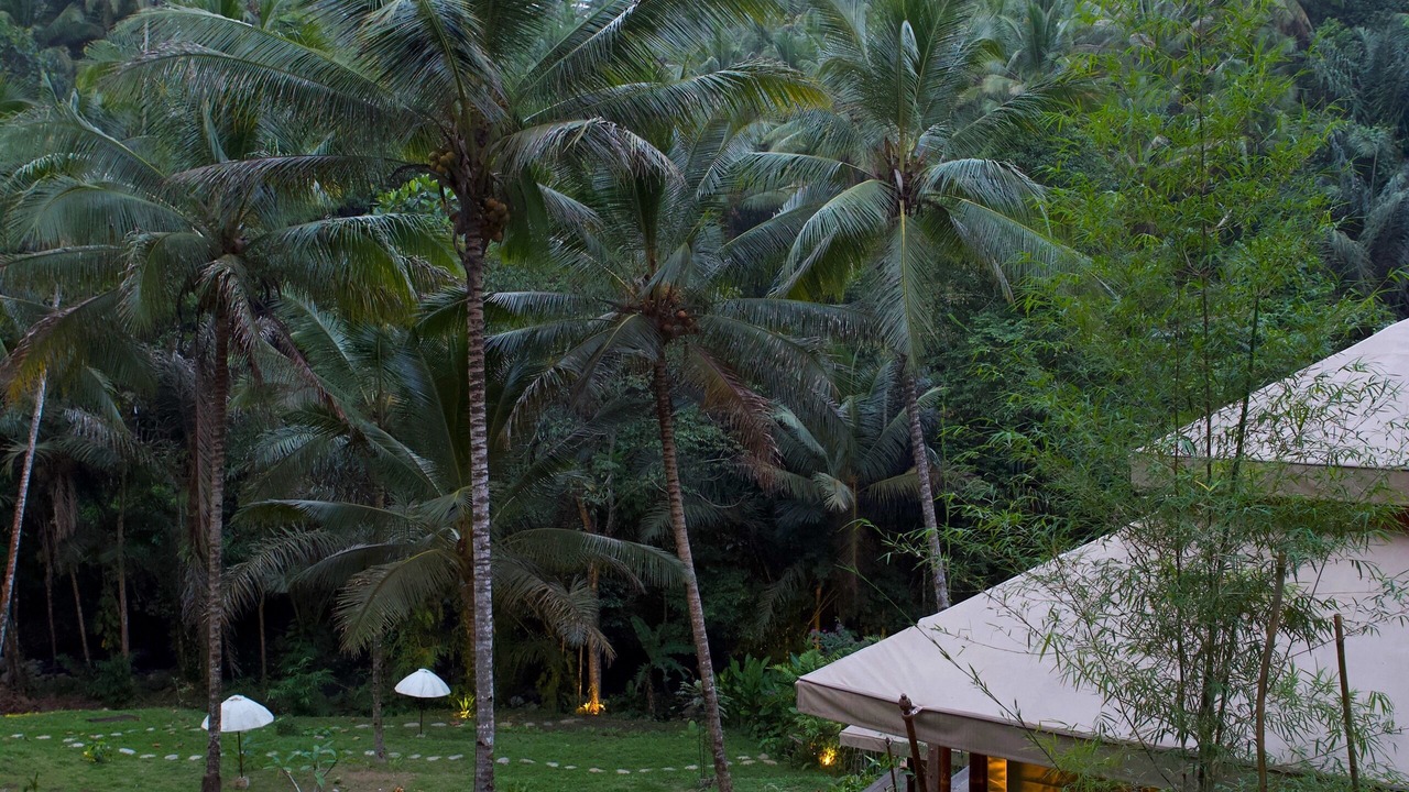 Photo of Outdoor in East Selemadeg