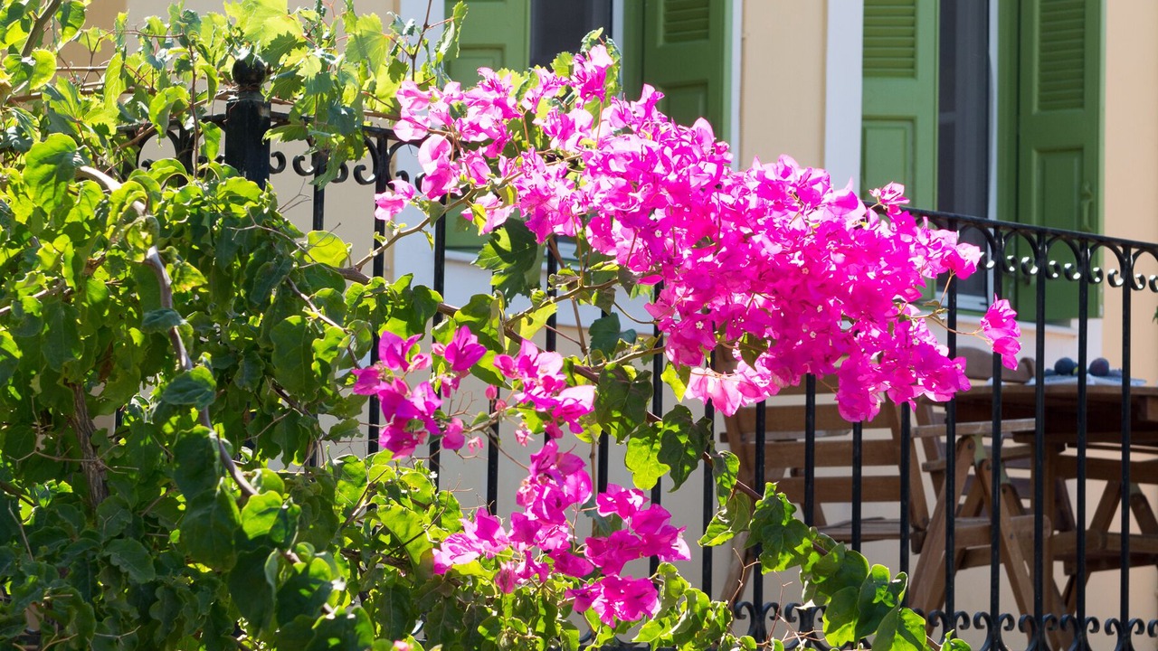 Photo of Outdoor in Kalymnos